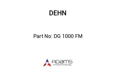 DG 1000 FM