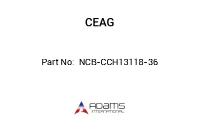  NCB-CCH13118-36