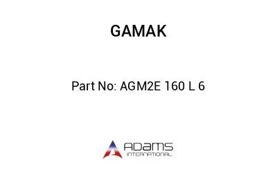 AGM2E 160 L 6