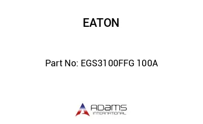 EGS3100FFG 100A