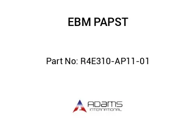 R4E310-AP11-01