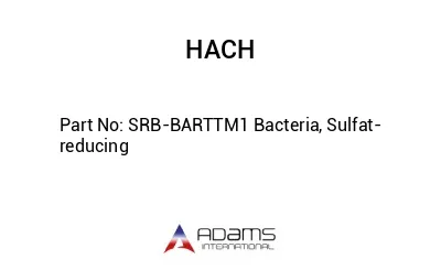 SRB-BARTTM1 Bacteria, Sulfat-reducing